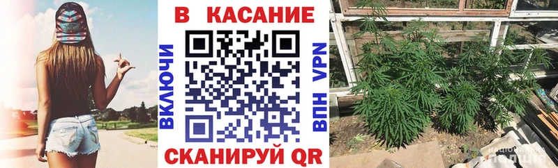 Магазины продажи наркотиков Каневская А ПВП  КОКАИН  hydra ССЫЛКА  Каннабис  Гашиш  АМФЕТАМИН 